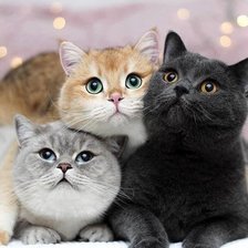 Cross stitch pattern: #1897572
