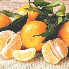 Cross stitch pattern: #1897858