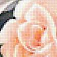 Preview of cross stitch pattern: #1899155