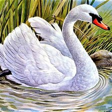 Cross stitch pattern: #1899444