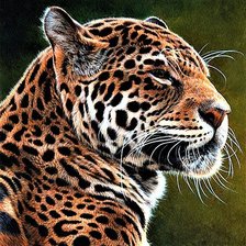 Cross stitch pattern: #1899588