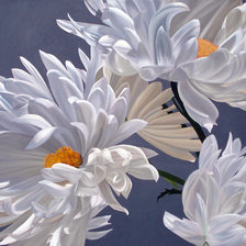 Cross stitch pattern: #1900248