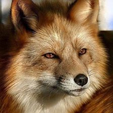 Cross stitch pattern: #1900503