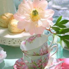 Cross stitch pattern: #1900504