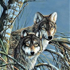 Cross stitch pattern: #1900571
