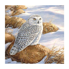 Cross stitch pattern: #1901913