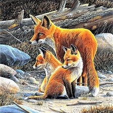 Cross stitch pattern: #1902704