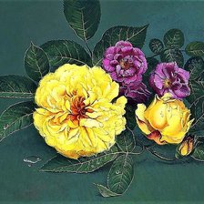 Cross stitch pattern: #1903176