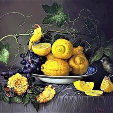 Cross stitch pattern: #1903509