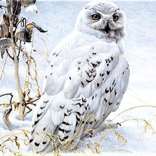 Cross stitch pattern: #1903515