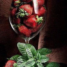 Cross stitch pattern: #1903939