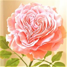 Cross stitch pattern: #1903943
