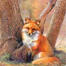 Cross stitch pattern: #1905152