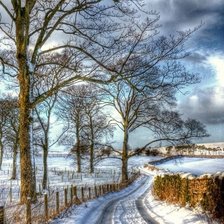 Cross stitch pattern: #1905166