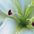 Preview of cross stitch pattern: #1905632