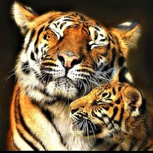 Cross stitch pattern: #1905909