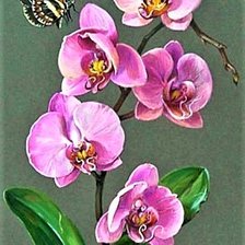 Cross stitch pattern: #1906017