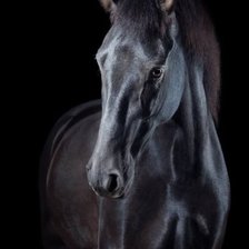 Cross stitch pattern: #1906199