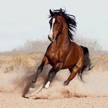 Cross stitch pattern: #1906206