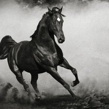 Cross stitch pattern: #1906401