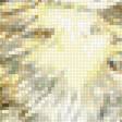 Preview of cross stitch pattern: #1906584