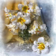 Cross stitch pattern: #1906770