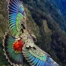 Cross stitch pattern: #1906841