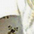 Preview of cross stitch pattern: #1906855