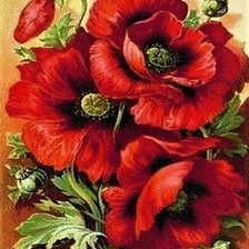 Cross stitch pattern: #1907171