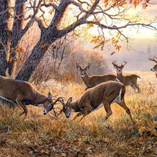 Cross stitch pattern: #1907450