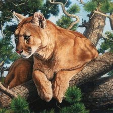 Cross stitch pattern: #1907451