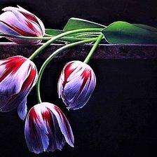 Cross stitch pattern: #1909885