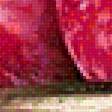Preview of cross stitch pattern: #1909887