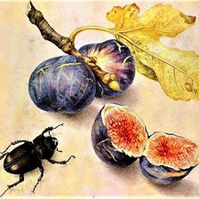 Cross stitch pattern: #1909914