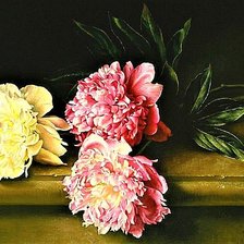 Cross stitch pattern: #1909926