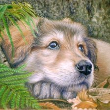 Cross stitch pattern: #1909944