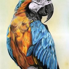 Cross stitch pattern: #1911453