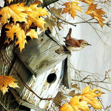 Cross stitch pattern: #1911948