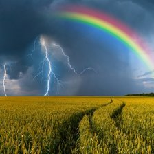 Cross stitch pattern: #1912806