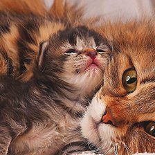 Cross stitch pattern: #1912864