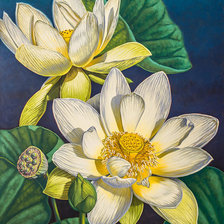 Cross stitch pattern: #1913724