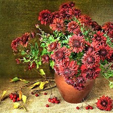 Cross stitch pattern: #1914193