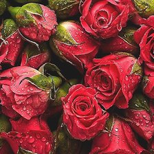 Cross stitch pattern: #1915301