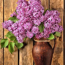 Cross stitch pattern: #1915423