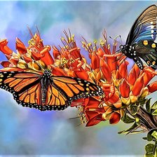 Cross stitch pattern: #1915507