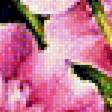 Preview of cross stitch pattern: #1915748
