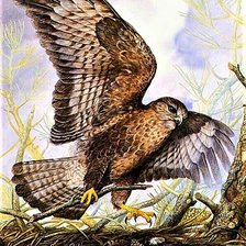Cross stitch pattern: #1915889