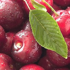 Cross stitch pattern: #1916341