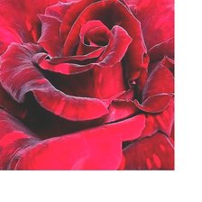 Cross stitch pattern: #1917464