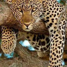 Cross stitch pattern: #1917735